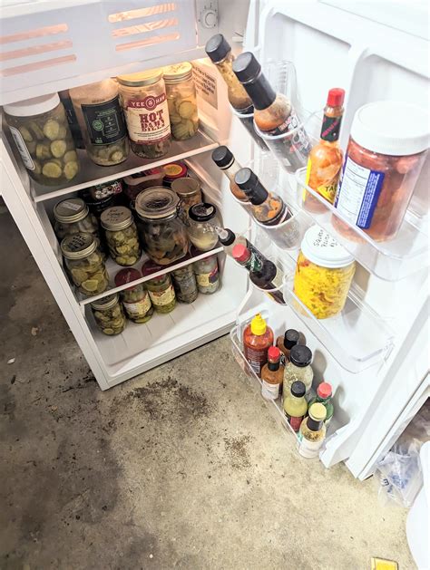 fridge pickle recipes 10