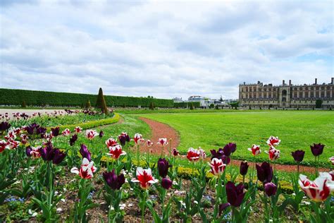 Las Mejores Cosas Qu Ver En Saint Germain En Laye