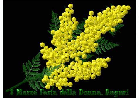 Buona Festa Della Donna 2023 I Video Più Belli Per Gli Auguri Su Facebook E Whatsapp