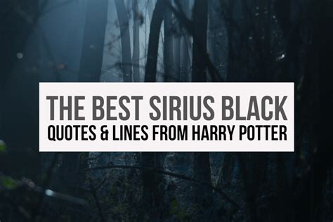 The 30+ Best Sirius Black Quotes & Lines from Harry Potter - Geek Trippers