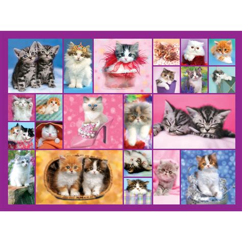 Kittens 1000 Piece Jigsaw Puzzle | Bits and Pieces