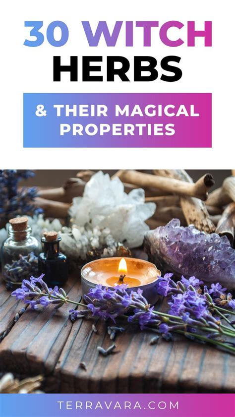 30 Witch Herbs & Their Magical Properties | Witch herbs, Magical herbs ...