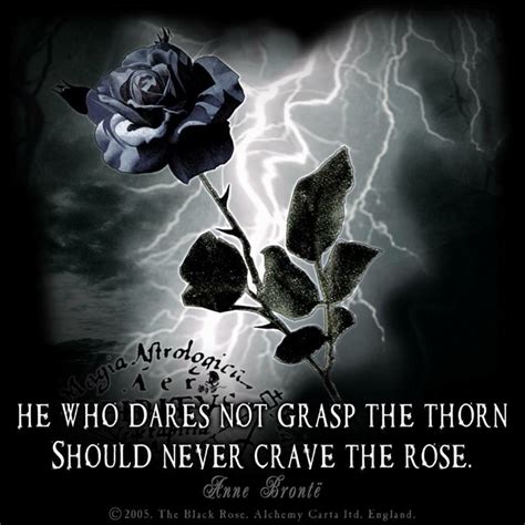 Pin By Kaiya Janus On Gothic Goth Quotes Dark Quotes Gothic Quotes