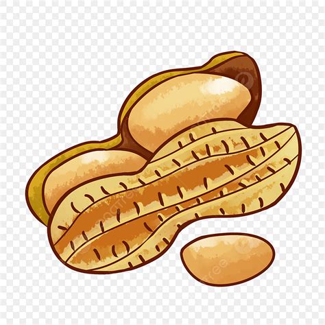 Animated Nut Clipart