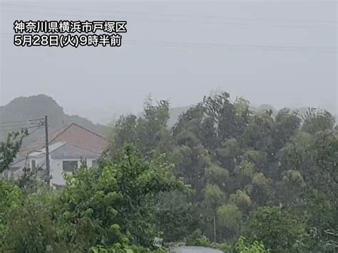 関東は午前中から局地的に強い雨 午後は南部を中心に強風にも注意｜infoseekニュース