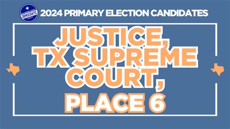 Texas Supreme Court Candidates 2024 Democratic Party Primary