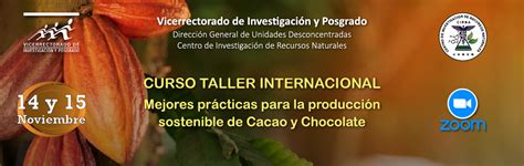 Curso Taller Internacional Vicerrectorado de Investigación y Posgrado