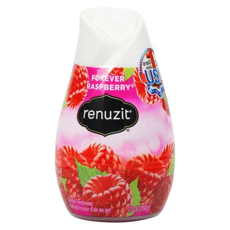 Air Freshener Gel Renuzit G Raspberry