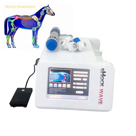 Portable Electromagnetic Shockwave Horse Physiotherapy Pain Relief