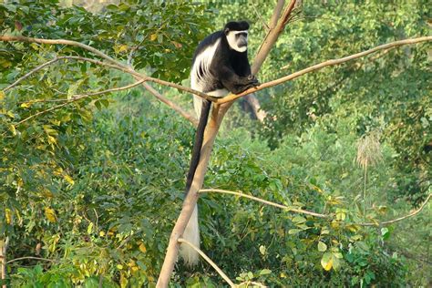 Semliki National Park Uganda Scenic Trail Ventures