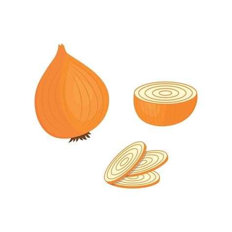 Premium Vector Onion Logo Template Vector Illustration