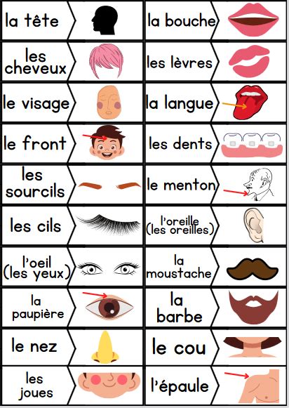 French Body Parts And Workout Vocabulary And Activities Parties Du