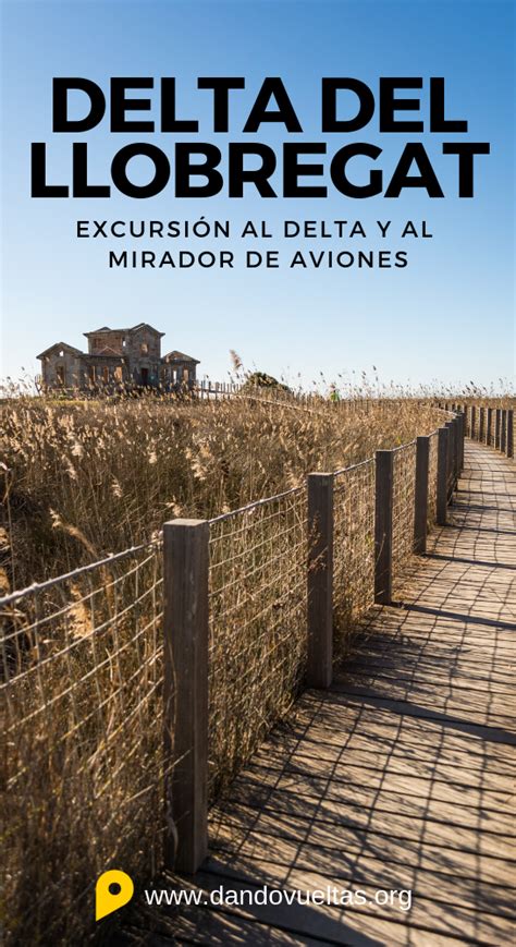 Excursi N Al Delta Del Llobregat Y Al Mirador De Aviones Viajes