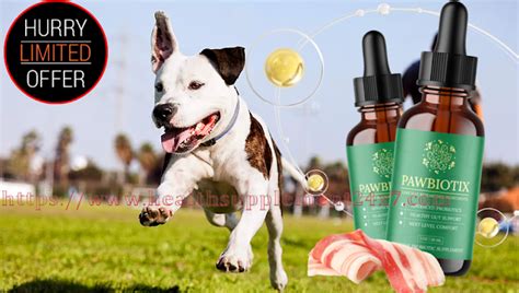 Pawbiotix (#1 Dog’s GUT Health Serum) Read First All Pros And Cons ...