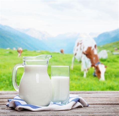 Premium Photo Milk In Jug And Glass And Cows In Pasture On Alpine Meadow