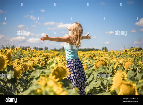 Beauty Sunlit Woman On Yellow Sunflower Field Freedom And Happiness