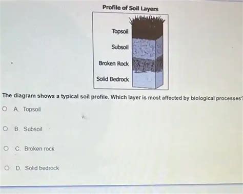 profile of soil layers the diagram shows a typical | Question AI