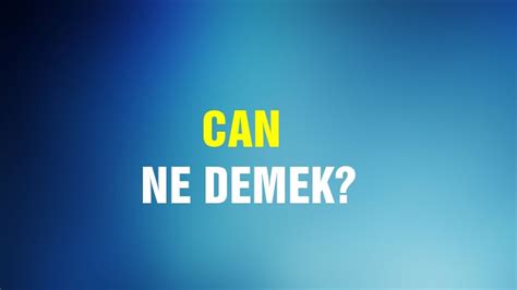 Can Ne Demek Ne Anlama Gelir Can Kelimesi Tdk S Zl K Anlam Nedir