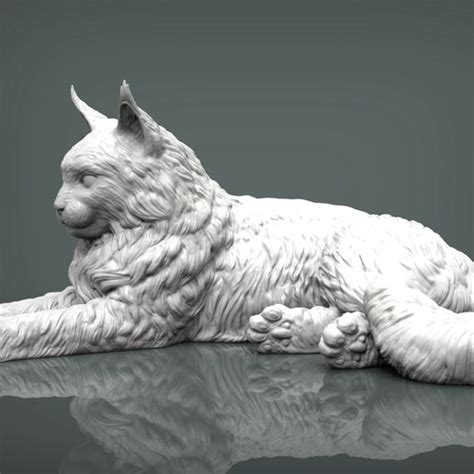 3d File Maine Coon 3d Print Model・3d Print Design To Download・cults