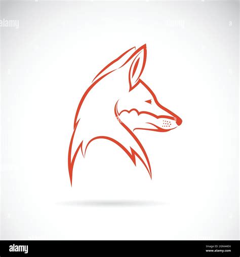 Image Vectorielle D Une Tête De Renard Sur Fond Blanc Illustration Vectorielle Superposée