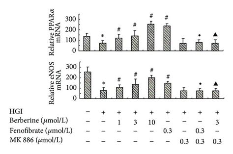 Concentration Dependent Effects Of Berberine On MRNA Expression Of