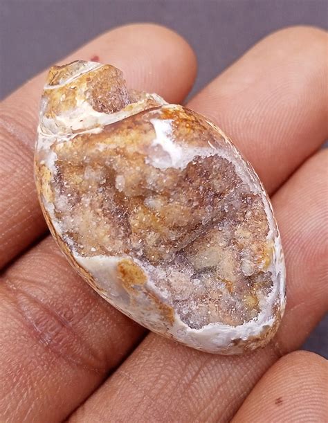 Amazing Quality Natural Fossil Druzy Agate Snail Druzy Fossil