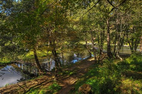 Free picture: leaf, landscape, tree, summer, nature, wood, water, forest