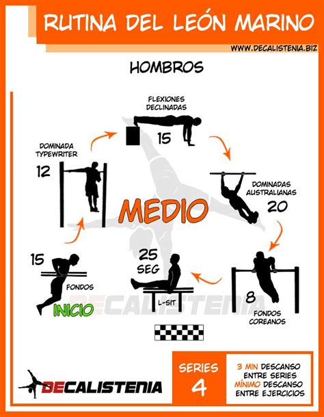 Pin De Carlosdecaldas En ExercÍcios Ejercicios De Calistenia