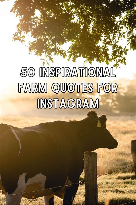 50 Inspirational Farm Quotes For Instagram