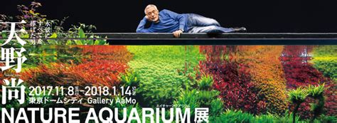 天野尚 NATURE AQUARIUM展に行ってきた アクアリウムの始め方