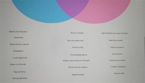 Solved Joint Venn Diagram ows circumduc Diarthrosis | Chegg.com