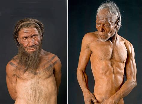 Paleoeduca El Macho Ib Rico Y La Hembra En La Prehistoria Cap Tulo