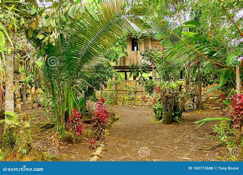 Hut In The Village In The Amazon Rainforest, Manaos, Brazil Stock Image | CartoonDealer.com ...