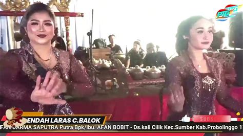 tayub tengger probolinggo hajat bpk afan bobit dskalicilik youtube
