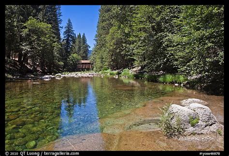 Picturephoto Wawona Covered Bridge And River Yosemite National Park