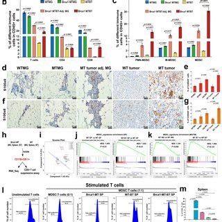 Brca Deficiency Induces Immunosuppression In Mammary Glands And