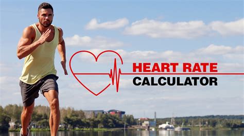 Target Heart Rate Calculator – Fitness Volt