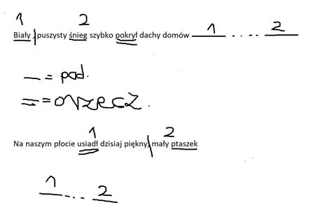 W podanych zdaniach podkreśl podmiot i orzeczenie oddziel grupę