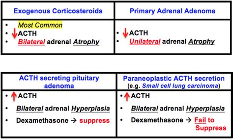 Cushings Syndrome Differentiation