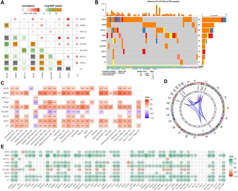 Identification Of Gut Microbes Related Molecular Subtypes And Their