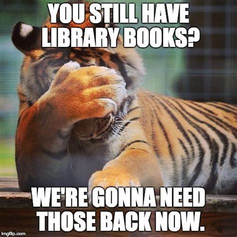 Facepalm Tiger | Library book displays, Library posters, Library quotes