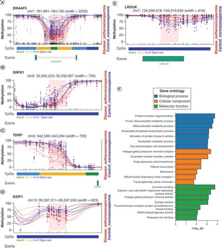 Full Article Genome Wide Methylation Analyses Of Human Sperm Unravel