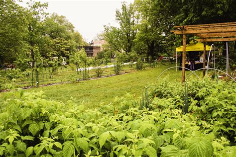 Annual Orchard Celebration Philadelphia Orchard Project