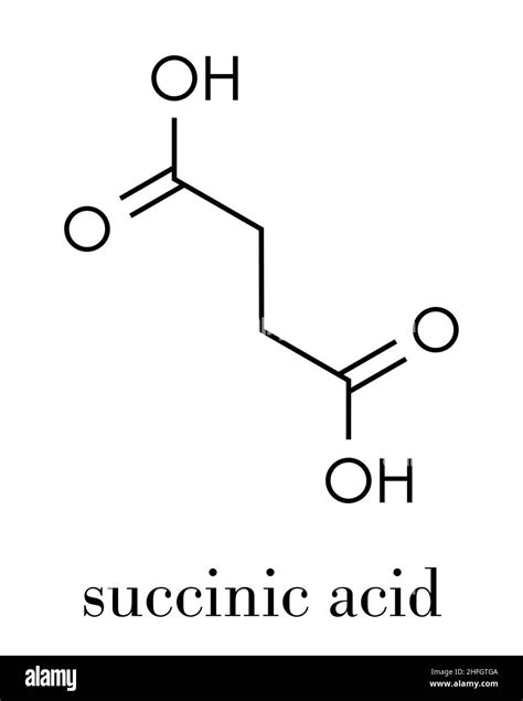 Succinic Acid Lewis Structure