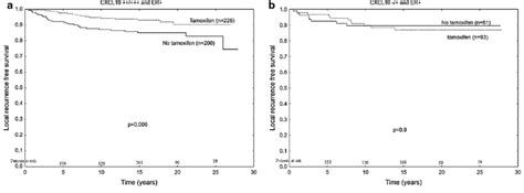 Survival Curves For Tamoxifen Treated Patients Grouped According To