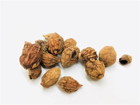 Yi Zhi Ren Sharpleaf Galangal Fruit Fructus Alpiniae Oxyphyllae 益智仁