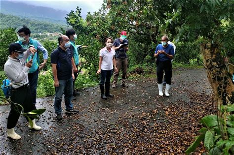 南市豪雨農損逾3千萬 黃偉哲建請農委會全面性救助 中華日報中華新聞雲