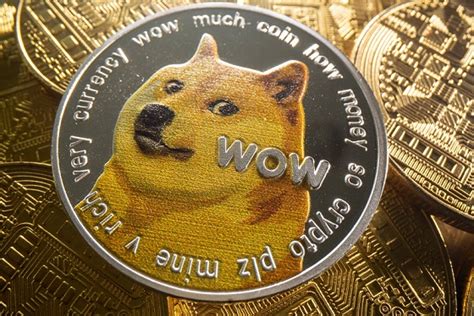 Shiba Inu Ballena compra 1 millón más y acumula 13 millones en la