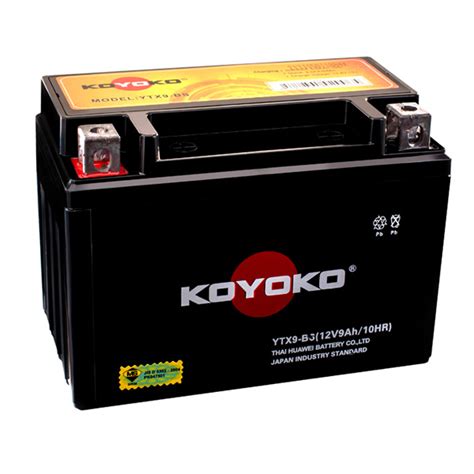 YTX9-BS - Koyoko