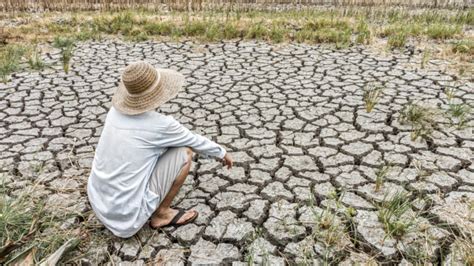 El Colapso Climático Se Adelanta ésta Es La Fecha En La Que El Calor